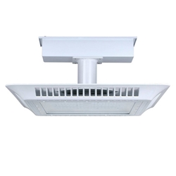 150W GSL CANOPY LIGHT